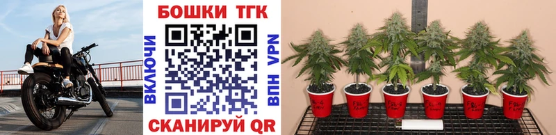 Купить наркотики цена Ярославль ссылка на мегу онион  Кокаин  МЕФ  МАРИХУАНА  A PVP 