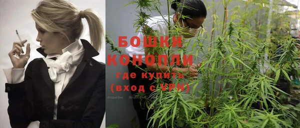 каннабис Богданович