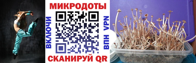 Псилоцибиновые грибы MAGIC MUSHROOMS  Ярославль 